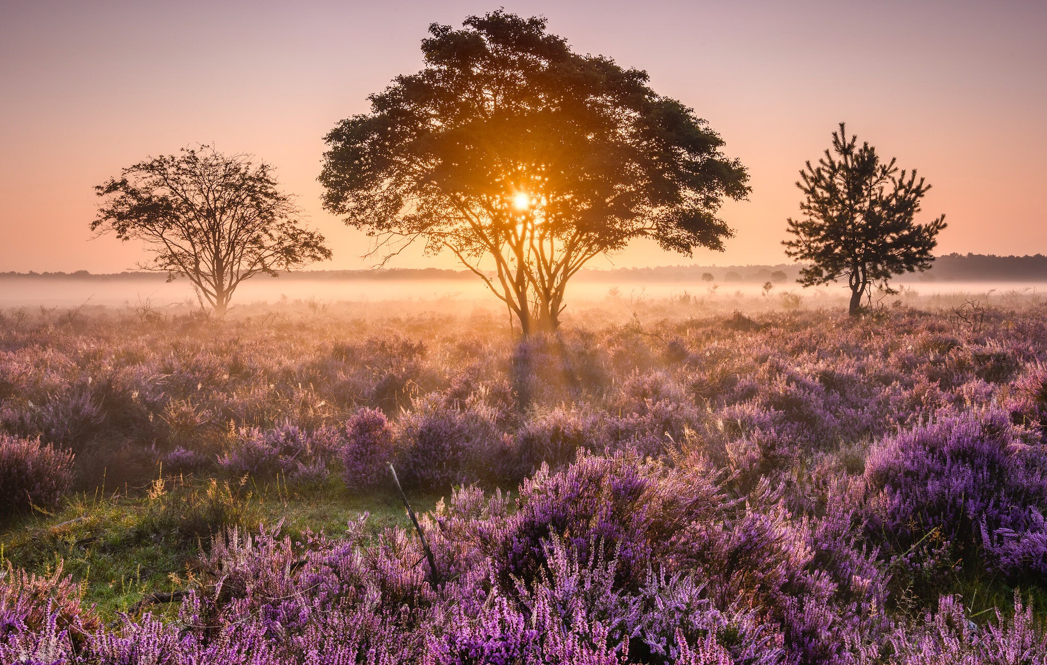 MySQL经典面试题